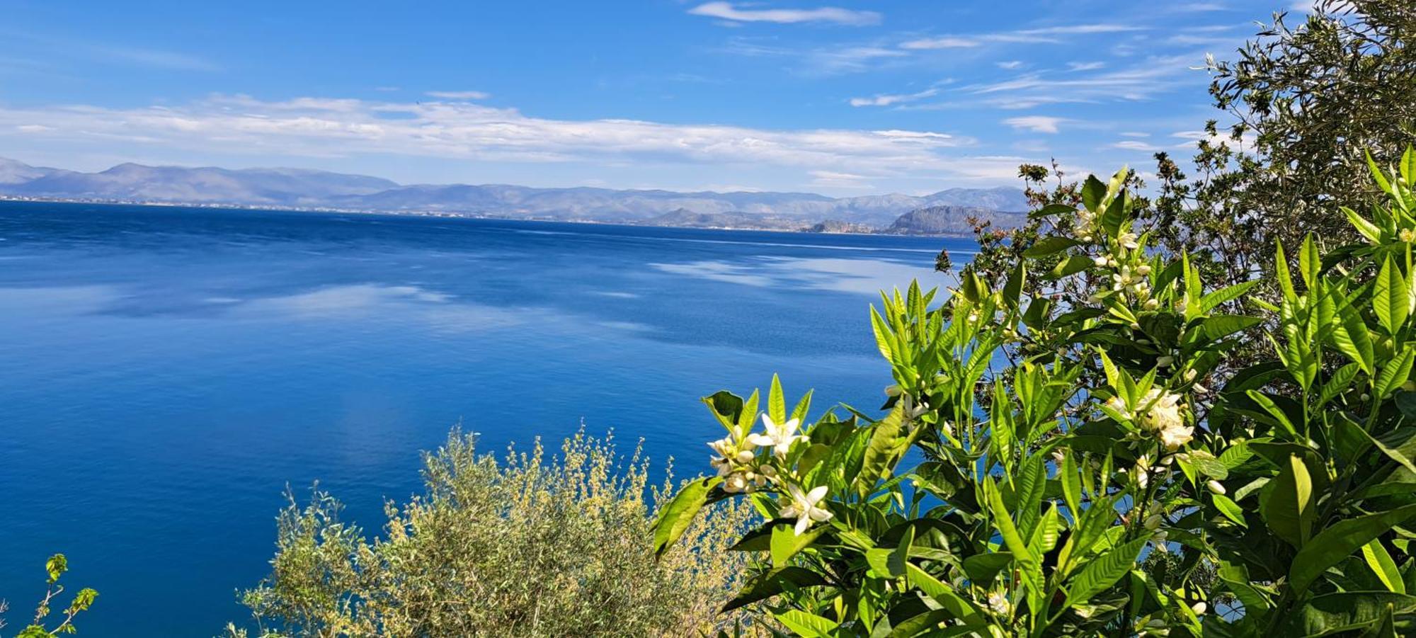 Linamare Eolos Ківеріон Номер фото